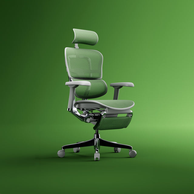 Ergohuman Elite office chair in green