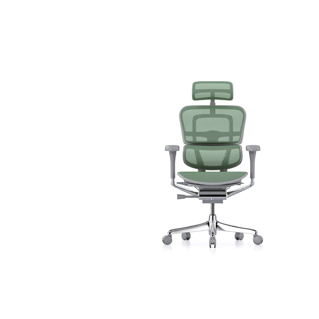 Ergohuman Elite chair with green mesh and grey frame