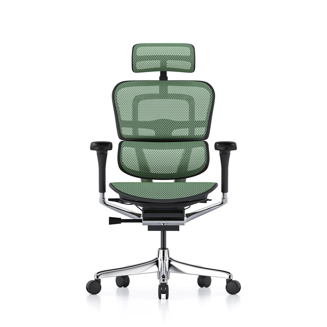 sustainable task chair, ergohuman elite, black frame and green mesh, front view with headrest