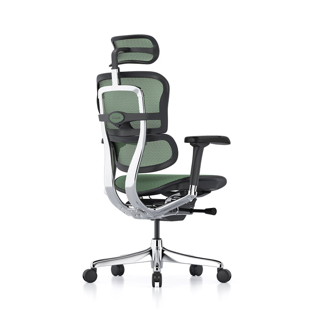 black frame green mesh office chair, ergohuman elite g2, headrest included, back 45-degree angle to the right