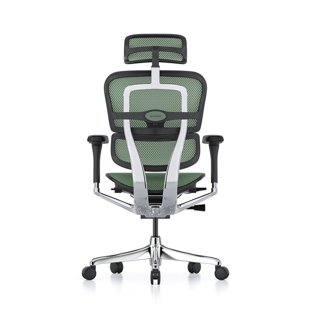 ergohuman chair, back view, black frame, green mesh, headrest included