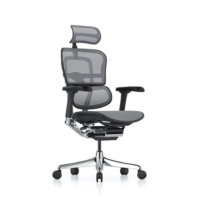 Open-box Ergohuman office chair with headrest, grey mesh, black frame – Excellent