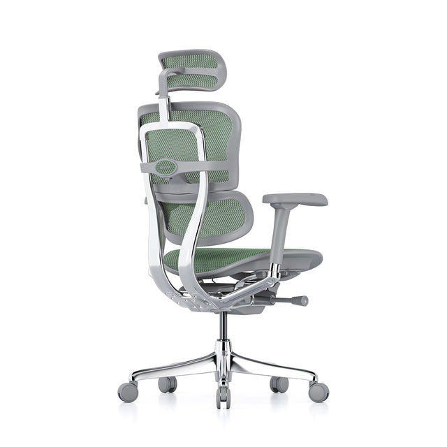 back right 45-degree angle of the ergohuman chair, headrest included, grey frame and green mesh