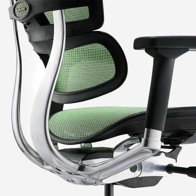 Ergohuman mesh office chair in black frame with green mesh.
