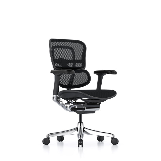 Ergohuman office chair without headrest, black mesh, black frame