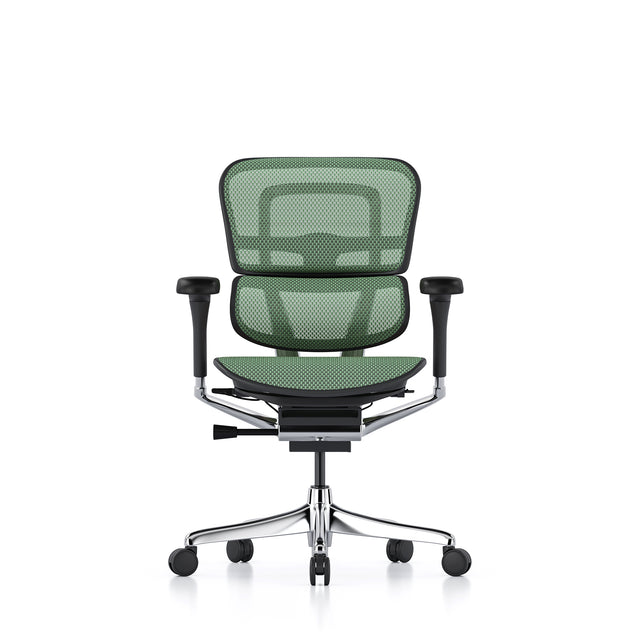 premium office chair, ergohuman elite, no headrest, black frame and green mesh