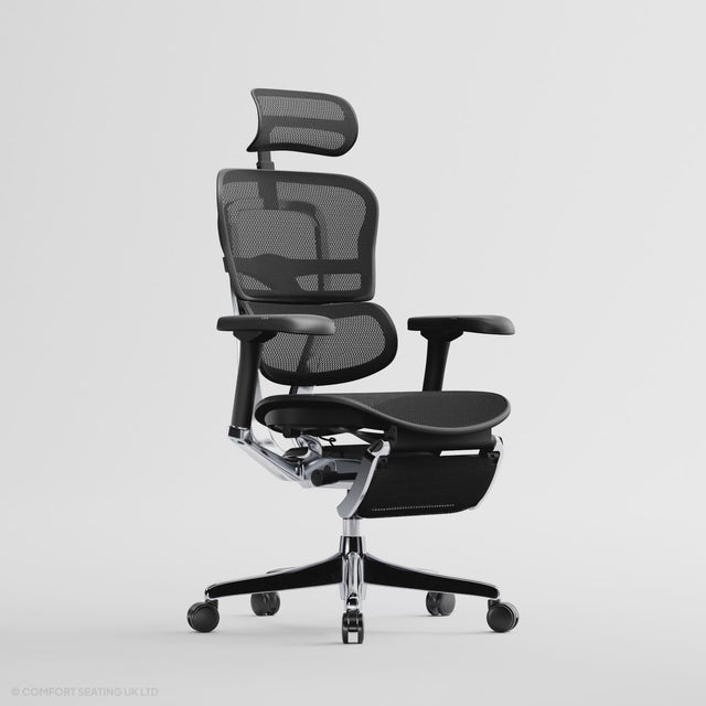 Ergohuman office chair video reclining